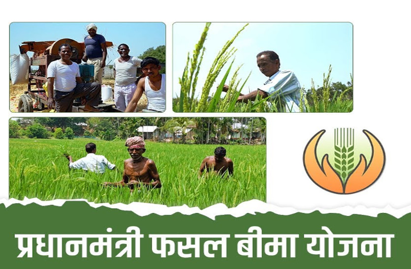 Mistakes while filling the application of Pradhan Mantri Fasal Bima Yojana