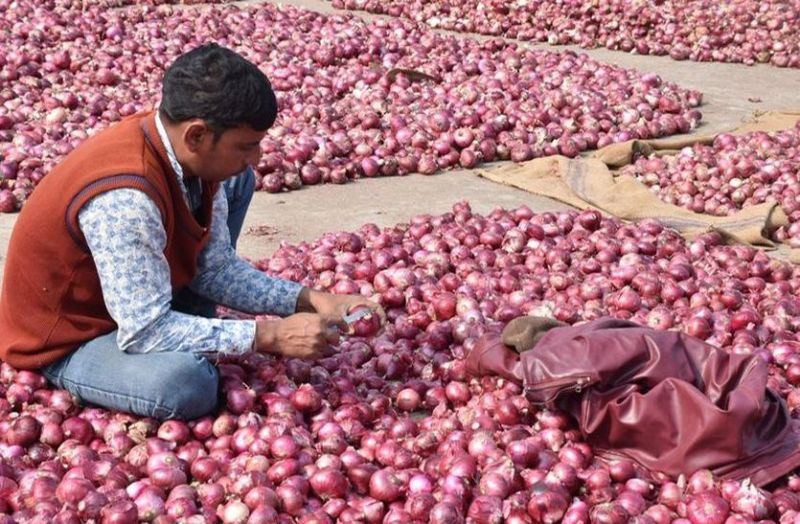 मोदी सरकार ने निकाली तरकीब-सस्ती होने लगी प्याज