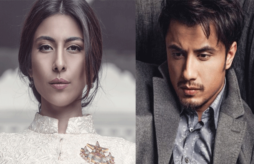 Singer Meesha Shafi