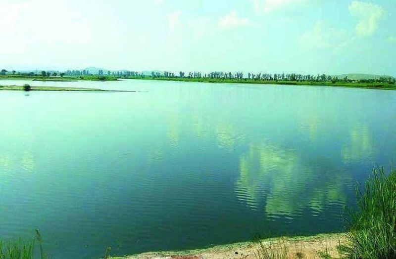 Agyara Dam Treat Water Will Use For Irrigation