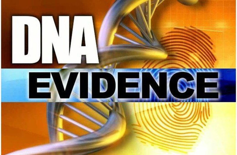 डीएनए रिपोर्ट से हुई बलात्कार के आरोपी की पुष्टि, पीडि़ता के गर्भवती होने पर आया मामला सामने