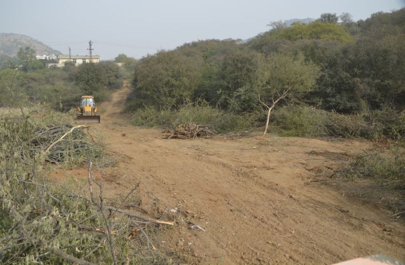 Good News-अजमेर को मिलेगा घूघरा नेचर पार्क का तोहफा