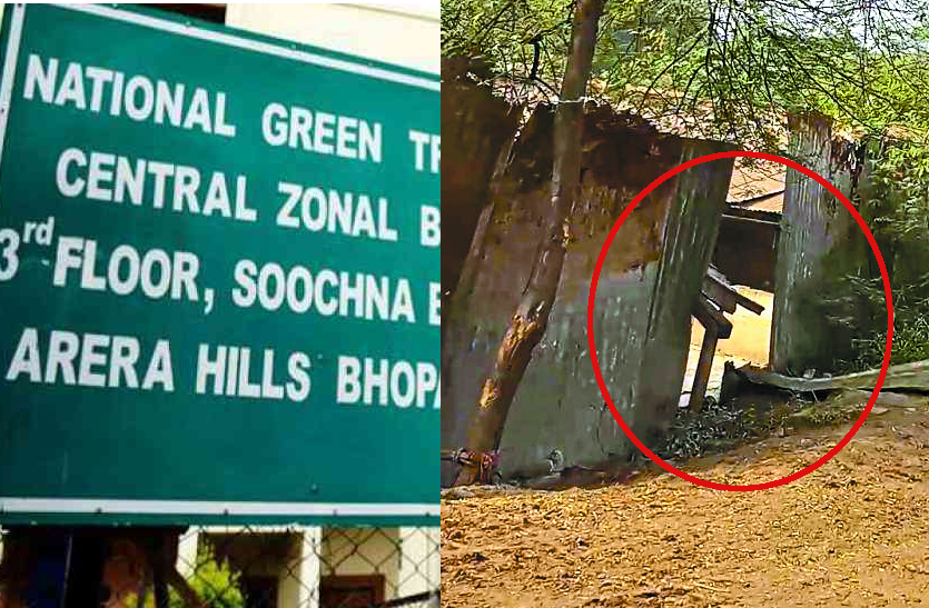 ngt_slaughter_house_bhopal.png