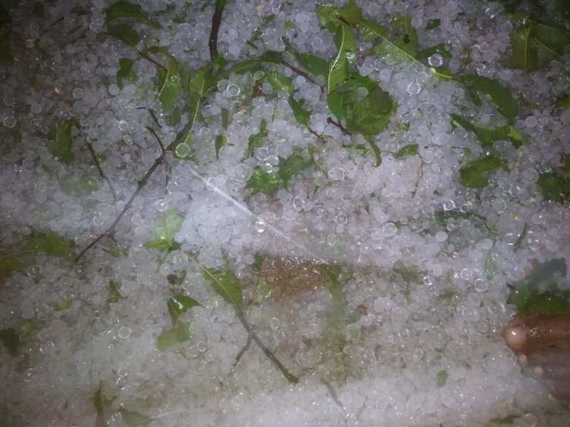 जिले के कई गांवों में ओलावृष्टि के साथ जोरदार बारिश-  देखें वीडियो