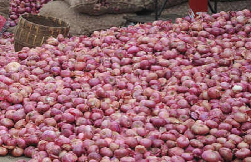 Nashik Onion Rate News : नासिक के भाव सिडींकेट के व्यापारियों से सरकार भी पस्त, कीमतों से कैसे खेल रहे प्याज कारोबारी, जानें