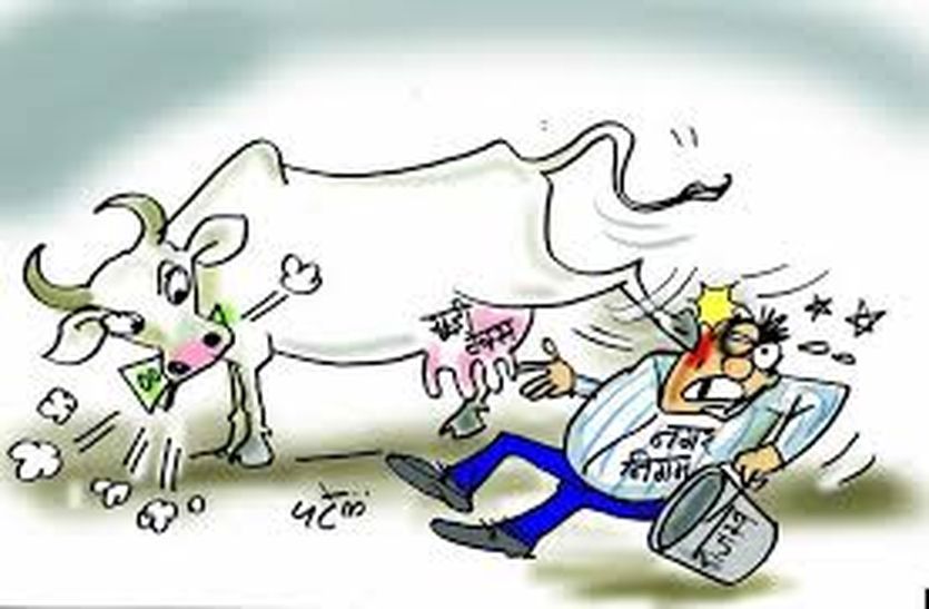 Ajmer News: Urban tax के लिए डिफाल्टरों पर फोकस