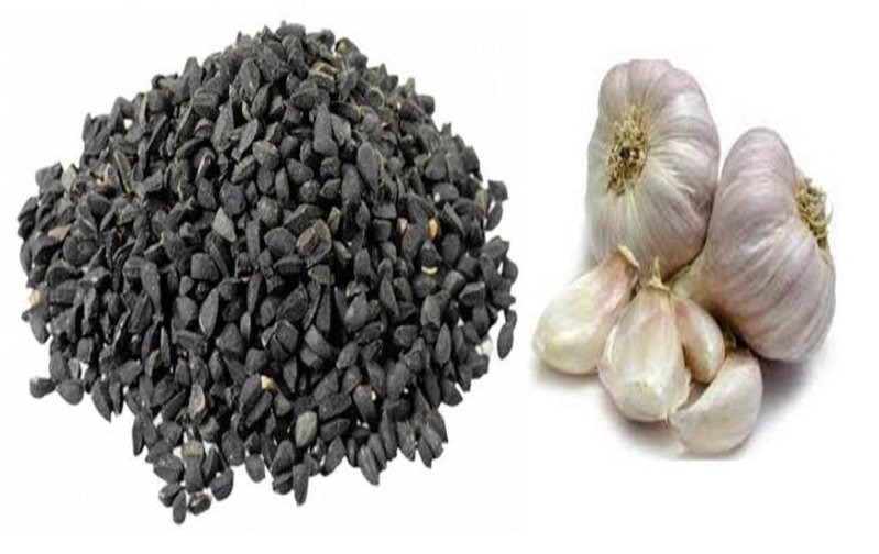 प्याज बीज में उछाल, लहसून बीज 6 सौ रुपए किलो