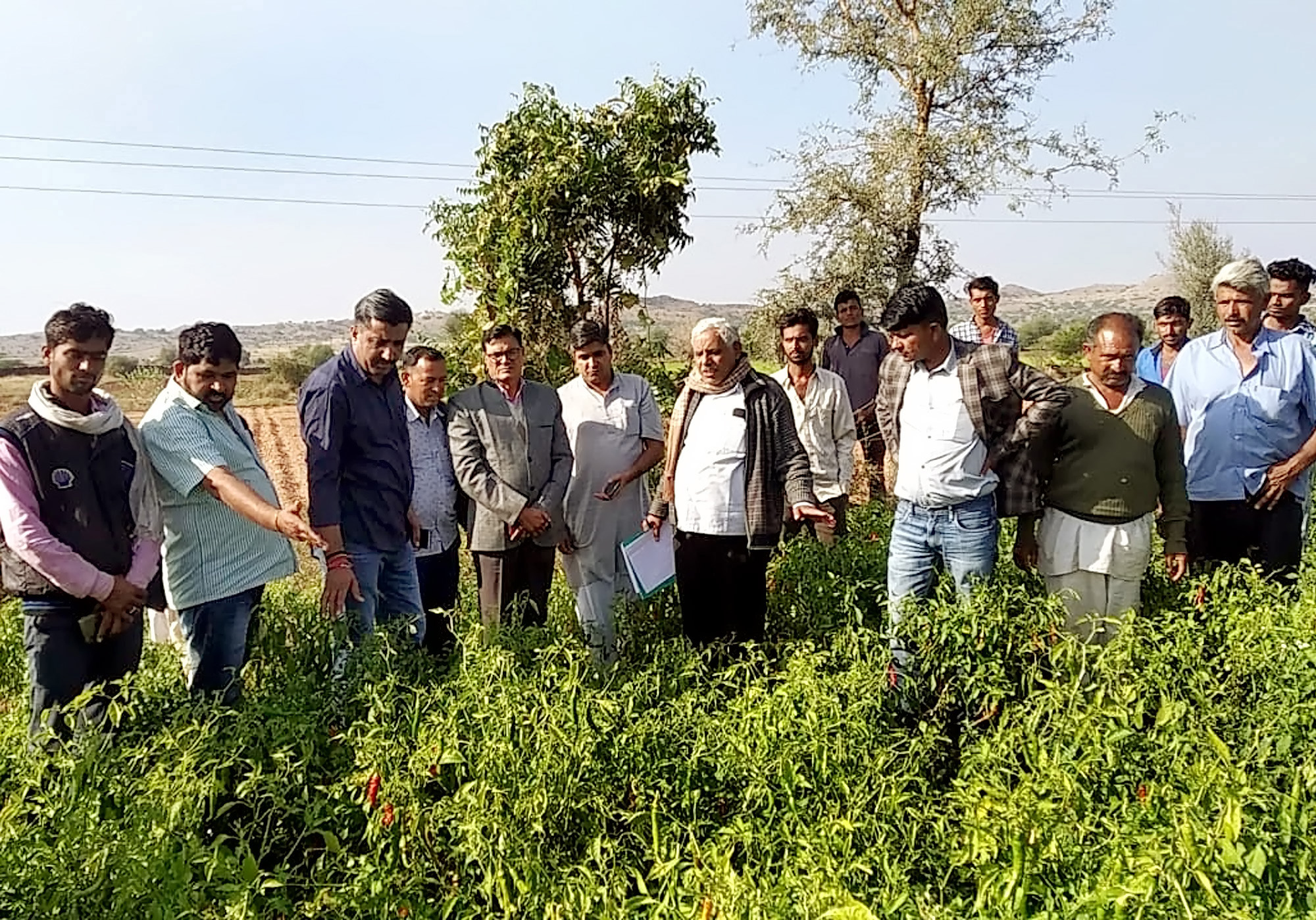 ओलावृष्टि से हुए फसल खराबे का जायजा लेने पहुंचे दूसरे दिन भी खेतों में पहुंचे विधायक