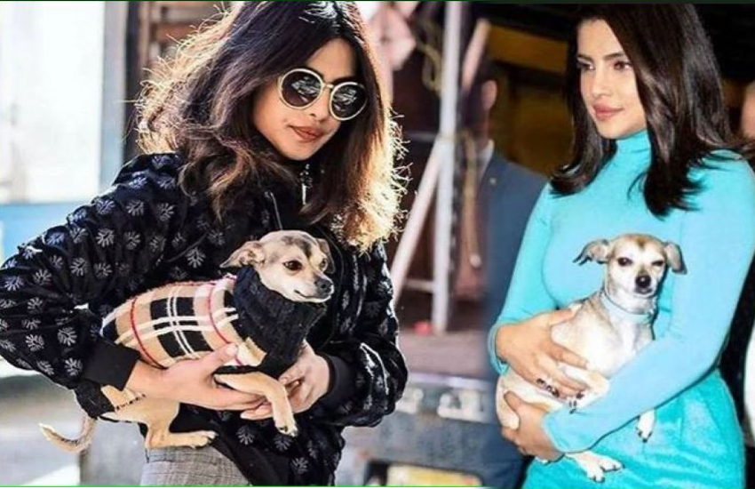 priyanka chopra