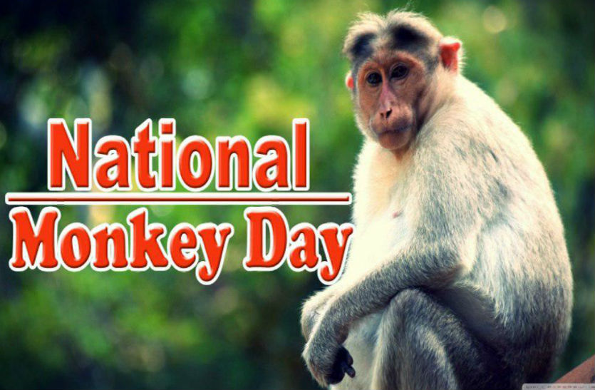 National Monkey Day