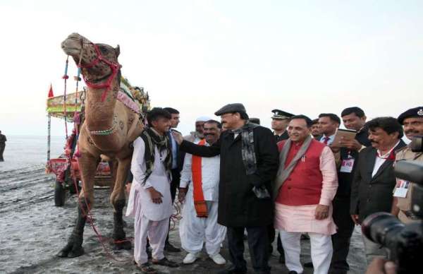 Vice President and Chief Minister arrived in the white rann of Kutch