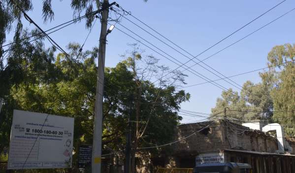 Pics: दिन में जलती बिजली, कैसे होगी बचत!