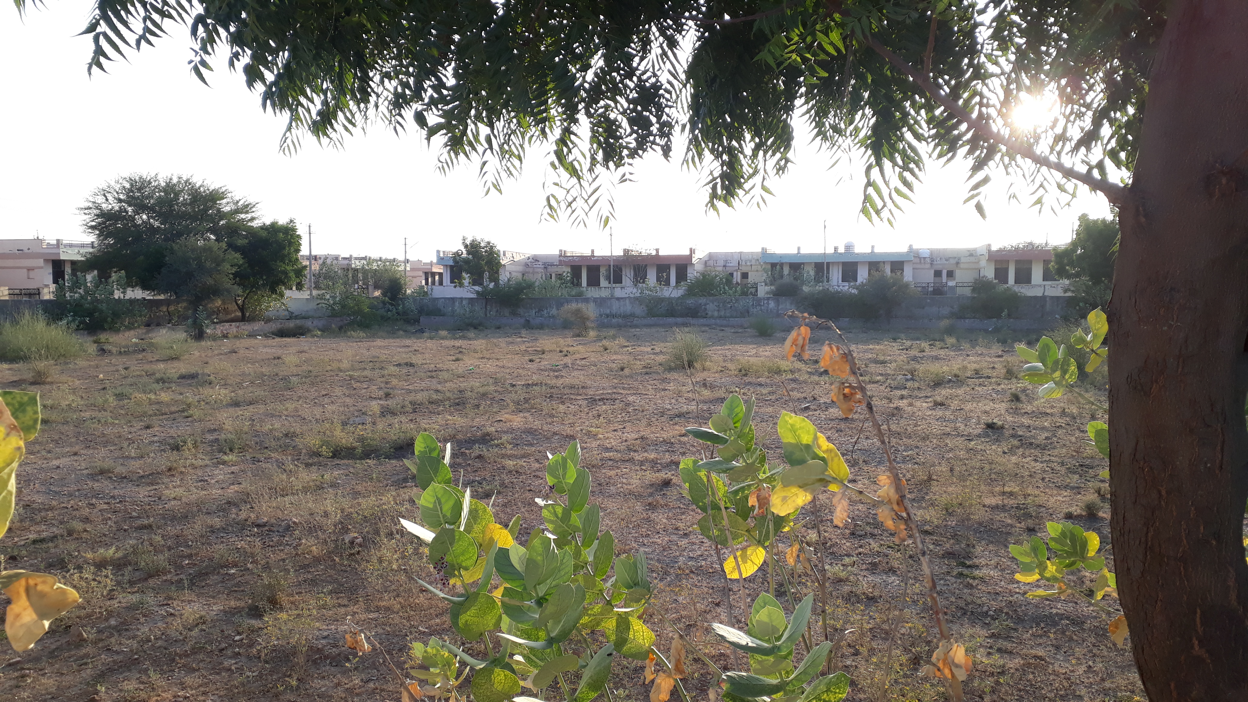 पत्रिका अभियान - आवंटी मांगे न्याय : आवासन मंडल के पार्कों से हरियाली गायब