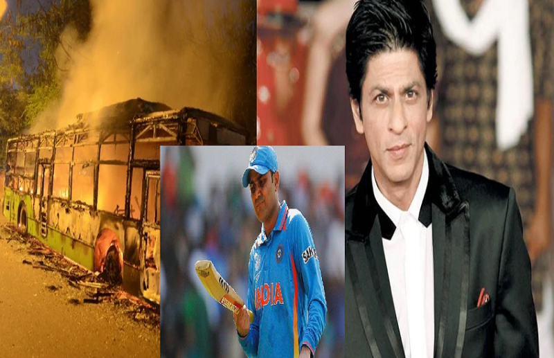 Shahrukh Sehwag have been studied from Jamia