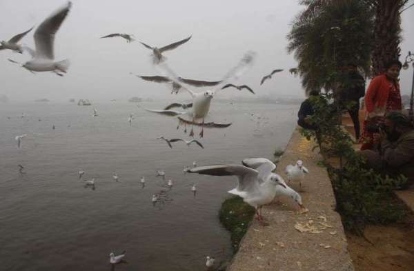 म्हारे घर पधारया परदेसी पावणा.......देखें तस्वीरें