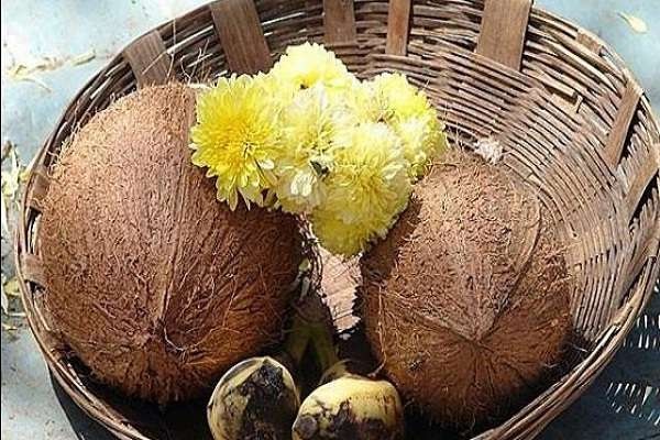 एकाक्षी नारियल का यह उपाय कर देगा मालामाल, जानें कैसा होता है एकाक्षी नारियल