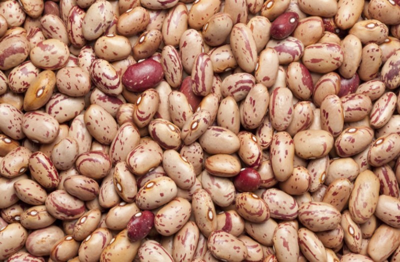 स्वास्थ्यवर्धक पिंटो बींस