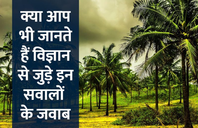 Education, interview, exam, online test, rojgar samachar, interview tips, online exam, Mock Test, general knowledge, GK, interview questions, jobs in hindi, rojgar, competition exam, mock test paper, sarkari job, questions Answers, GK mock test, General Science Questions, Questions and answers, common general knowledge questions and answers, common general knowledge questions and answers