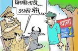 हर साल चोरी होती है एक करोड़ रुपए की भैंस, पुलिस नहीं कर पाती 10 फीसदी की भी बरामदगी