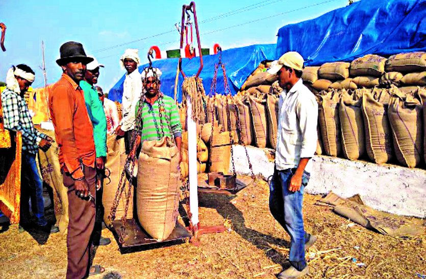 6948 quintal paddy purchased so far in Bhandarpur committee