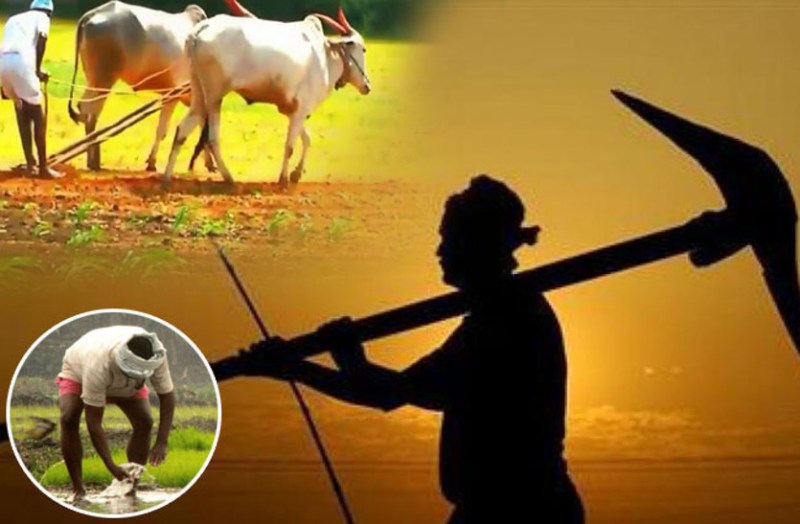 indian farmers day Kisan Diwas farmers day 2019