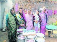Zilla Panchayat CEO innovation landed on the ground in satna