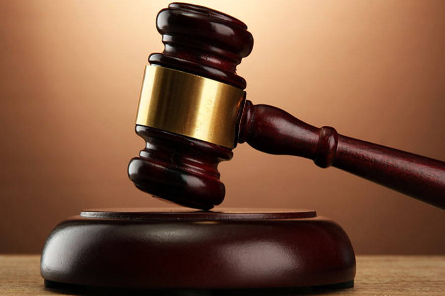 court stopped auction of shyama prasad mukherjee nagar in chittorgarh