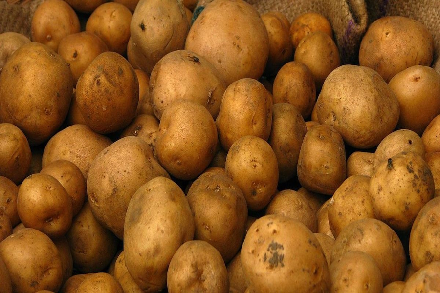 hike in potato prices in rajasthan due to poor weather in punjab