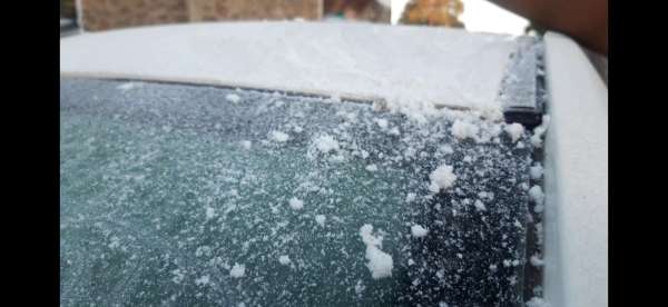 winter 2019 : कडाक़े की ठंड में लौकी की बेल पर जमीं बर्फ.... देखें तस्वीरें