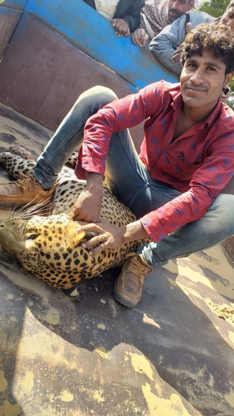 सिवाना क्षेत्र में पैंथर का शिकार, आरोपी गिरफ्त से दूर