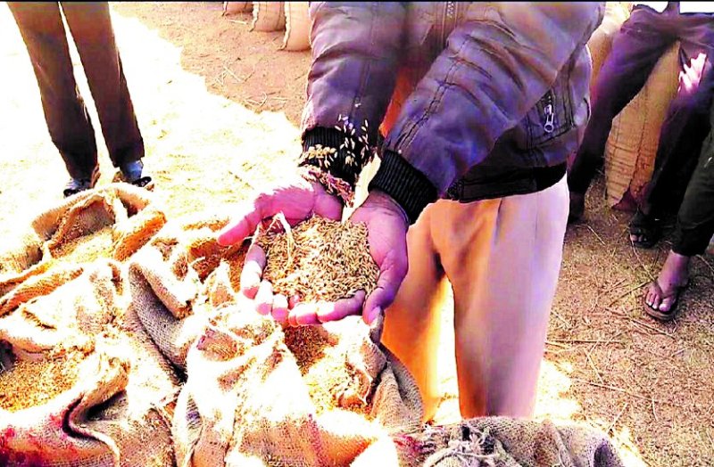 सोरर धान खरीदी केंद्र में 14 बोरे में धान के साथ मिली रेत
