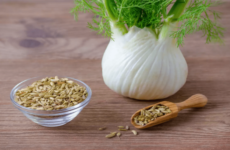 त्वचा में चमक, पाचन, कब्ज, आंखों की रौशनी के लिए फायदेमंद है सौंफ का सेवन