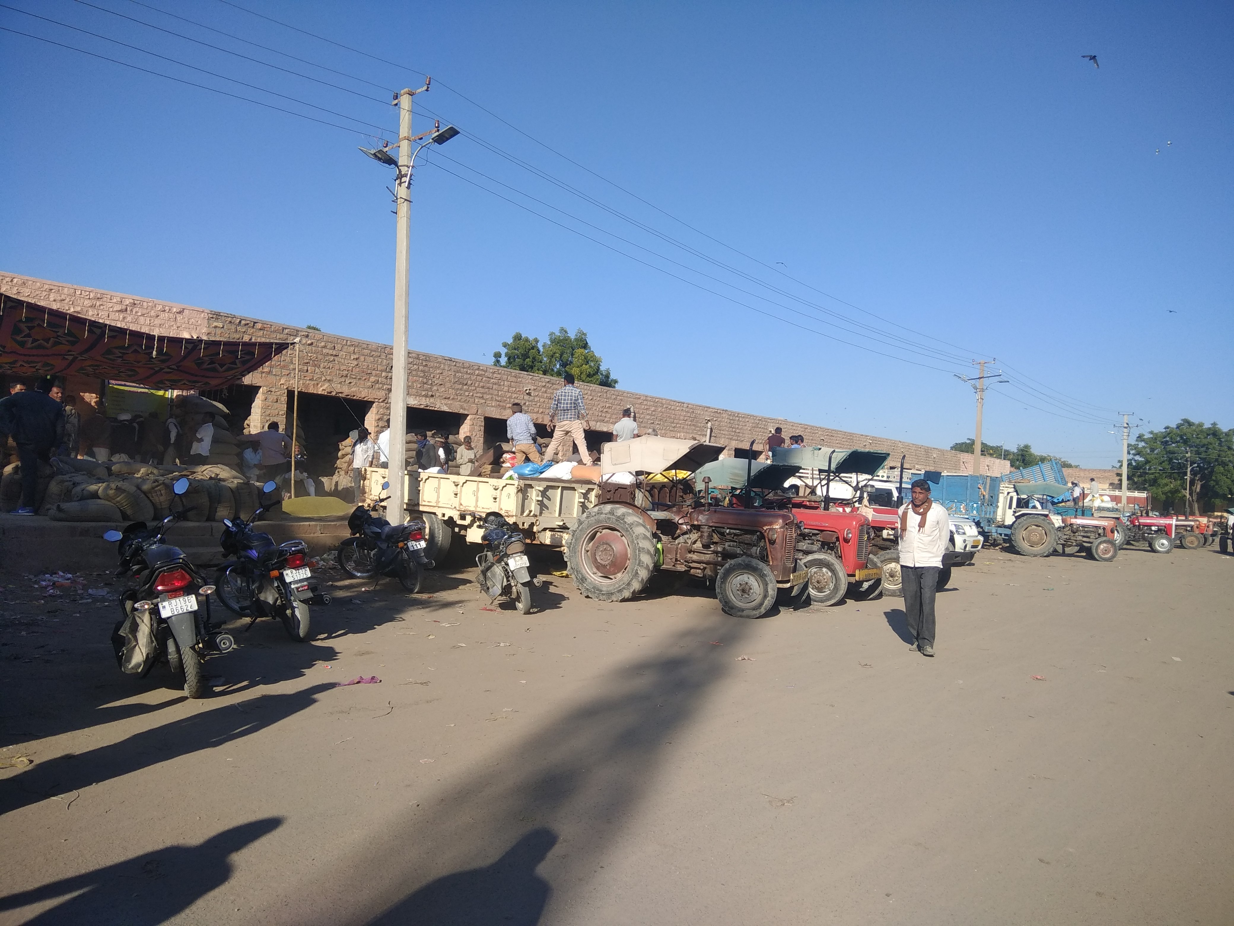 Pipar City : Mandi fee loss of five crore in three years