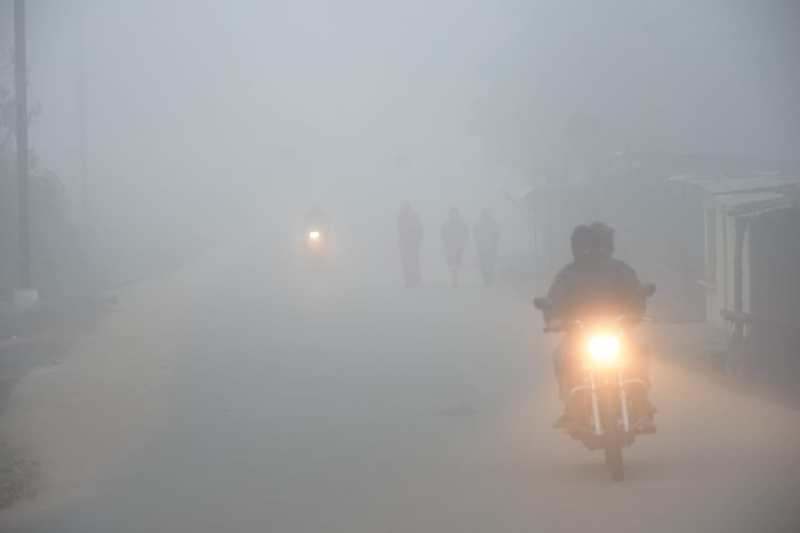 घास पर जम गई ओस की बूंदे