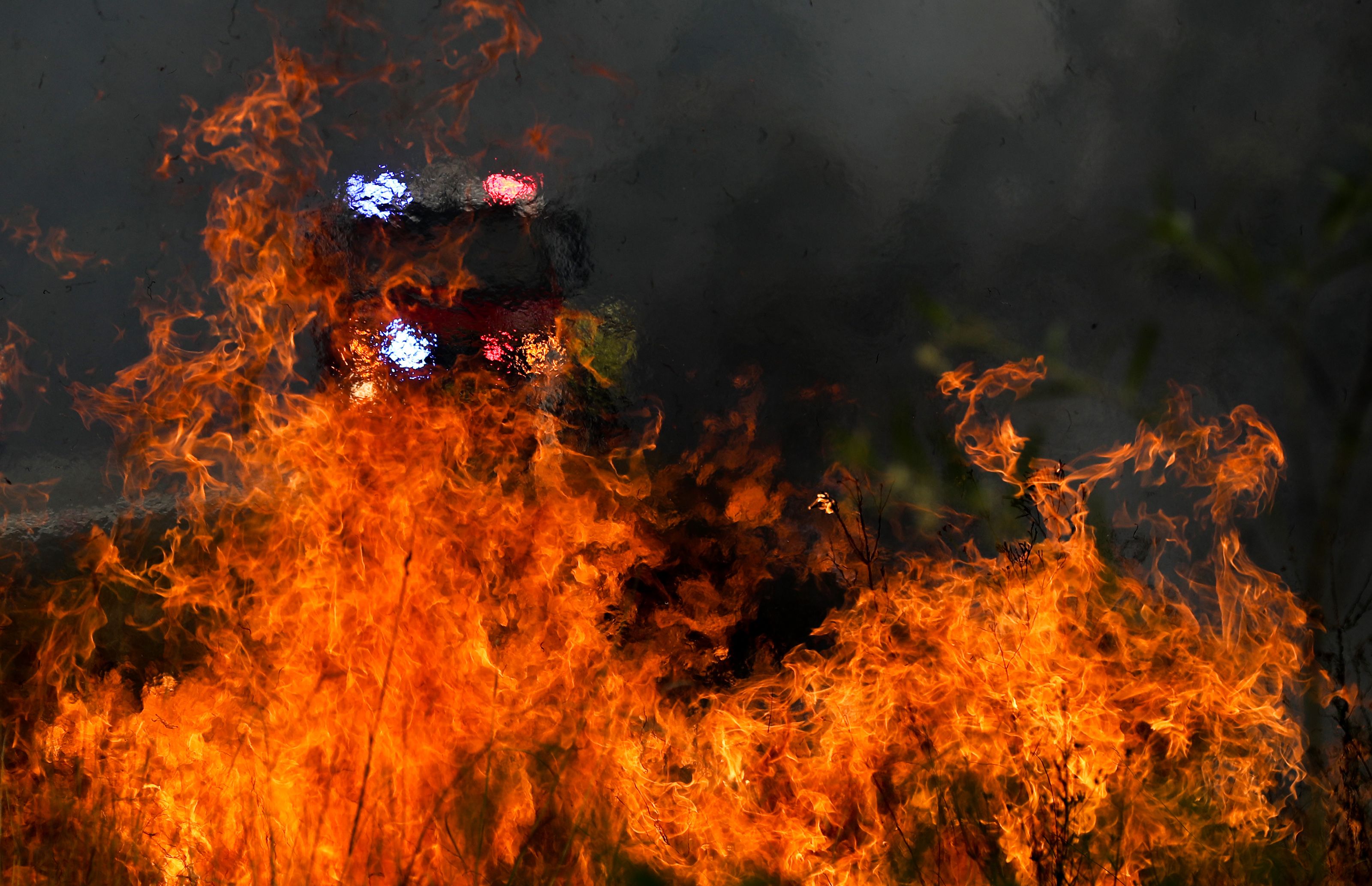 Australia fires : ऑस्ट्रेलिया के जंगलों में फिर आग