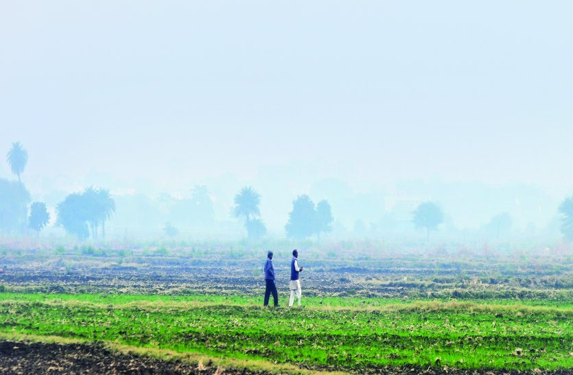 weather : नए साल की सुबह तेज ठंड रही गायब, आज गरज-चमक के साथ बौछारों का अनुमान