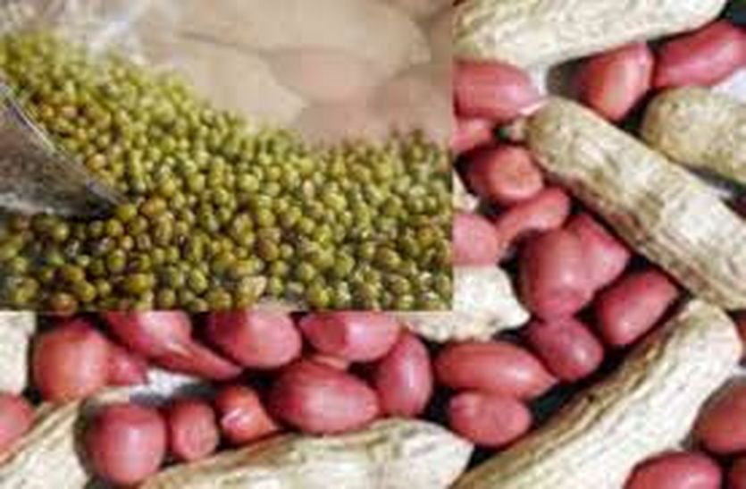 government-procurement-msp-purchase-of-groundnut