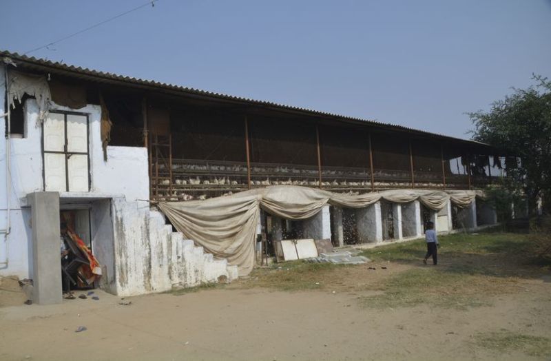 किसी का खेत बिक गया तो किसी के गहने