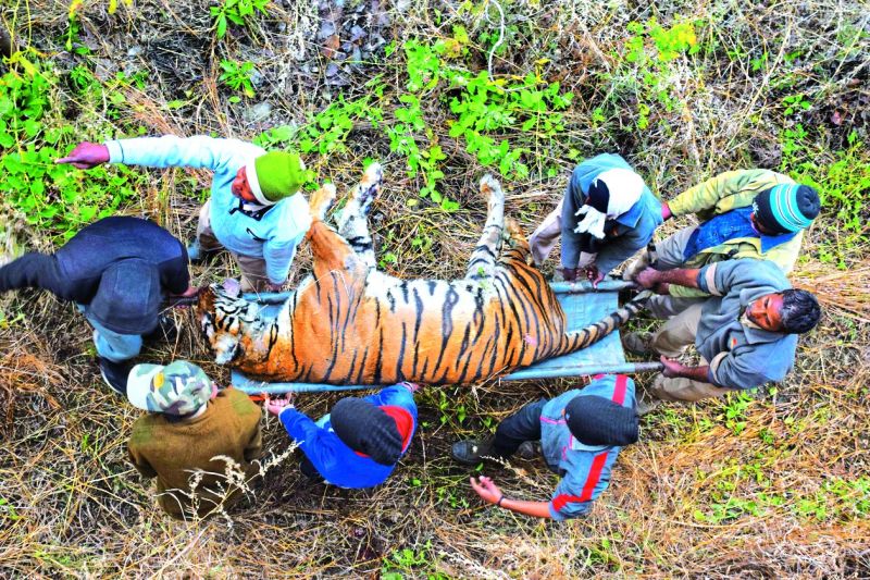 बायोलॉजिकल पार्क की बदनसीबी : पहले मोनू, फिर रामा और अब दामिनी