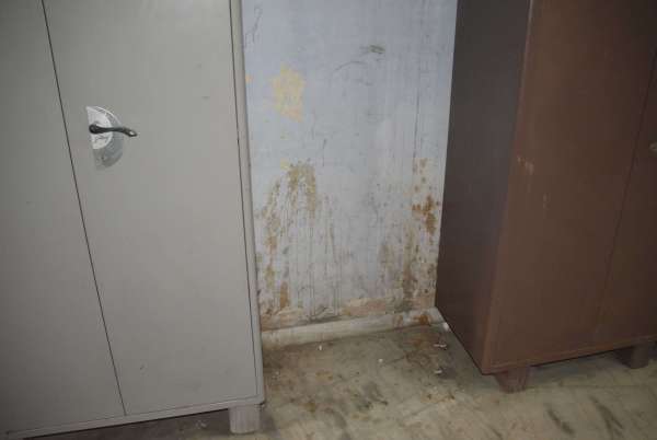 Collector's office is there, spit here wherever you want