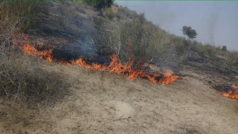 खेत में आग, दमकल ने पाया काबू