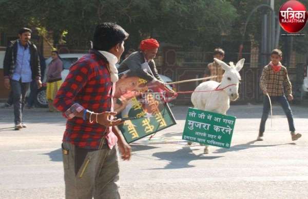 कलक्टरी के सामने भडक़ा गर्दभ मची अफरा-तफरी