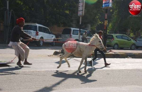 कलक्टरी के सामने भडक़ा गर्दभ मची अफरा-तफरी