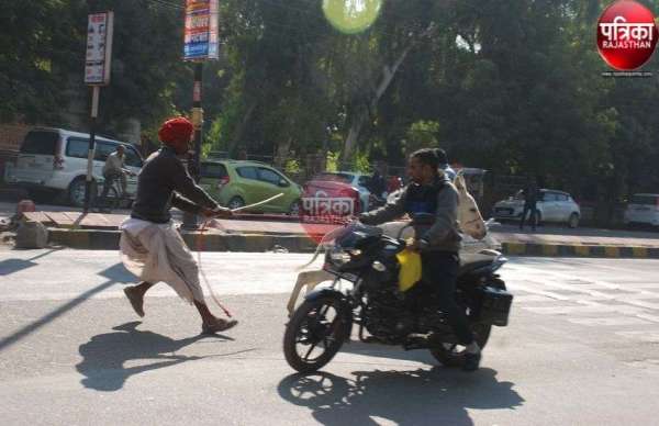 कलक्टरी के सामने भडक़ा गर्दभ मची अफरा-तफरी