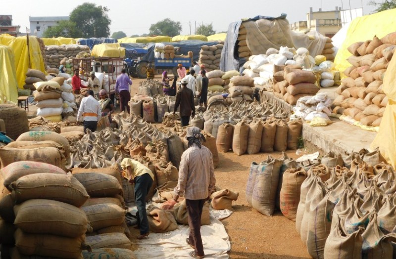 Paddy procurement will start again after three days from today, 180 vehicles have been installed for transportation, there will be a rise in lift ...