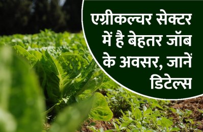 Short video poster image