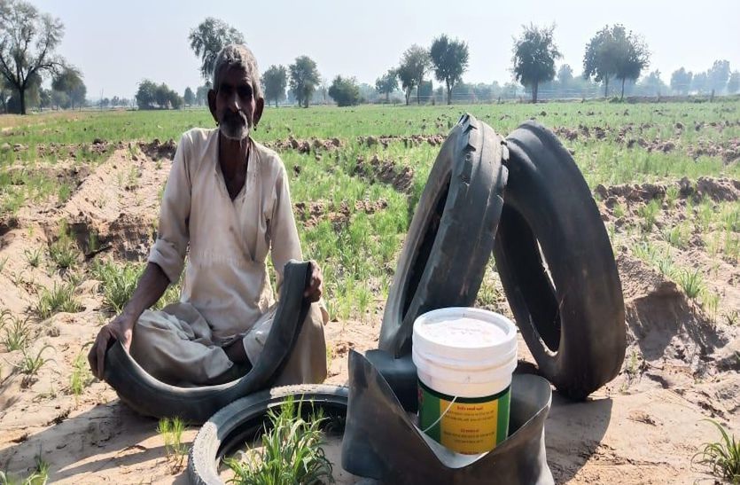 टिड्डी के आगमन की सूचना से अलर्ट दिखे किसान