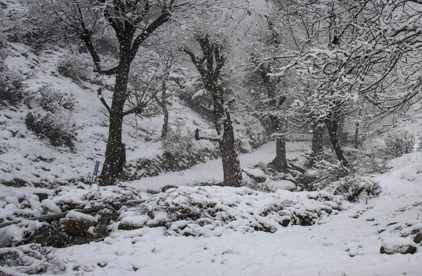 फिर मौसम ने मारी पलटी, लद्दाख-कश्मीर में बर्फबारी, जम्मू में बारिश ने भिगोया