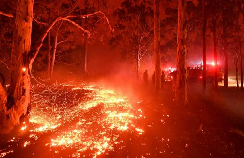 australia bushfire