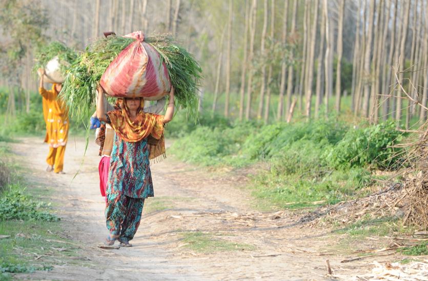नशा छुड़ाने के लिए काम आया आध्यात्मिक तरीका, पंजाब के गांवों में अनूठी पहल
